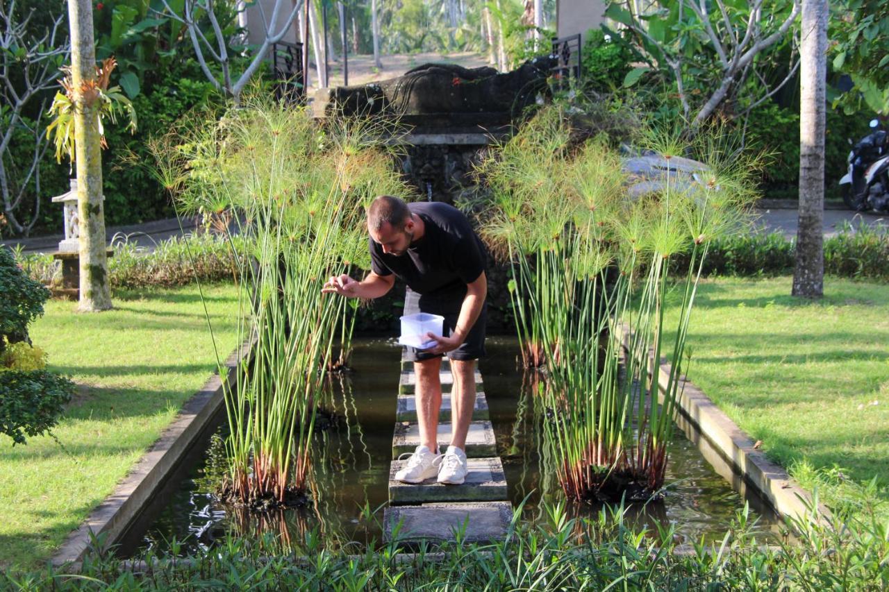 Bali Hai Island Resort Pekutatan  Esterno foto